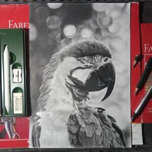 Menggambar Burung, Yuk ditonton😁