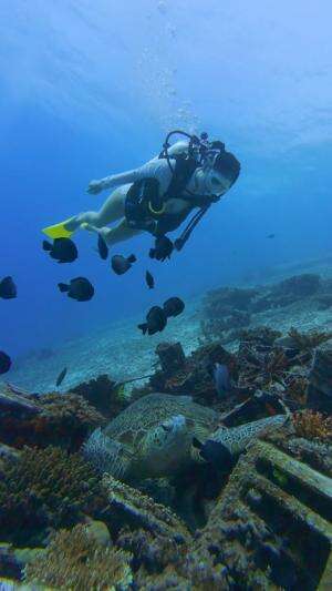 Motivasi untuk hari ini #motivasi 