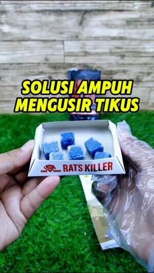 Cara mudah dan  ampuh membasmi tikus pakai racun tikus RATS KILLER dari HOME GUARD, yang tidak meninggalkan bau.

#ratskiller #racuntikus #r