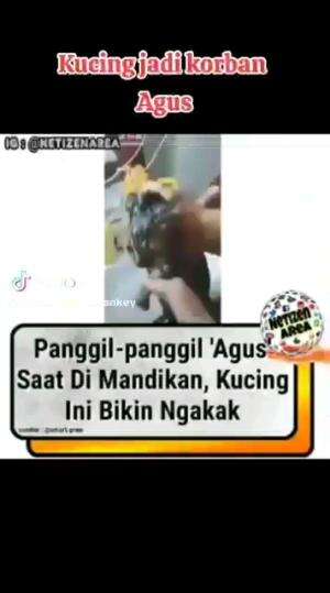 AGUS