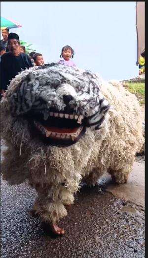 macwan putih #Senibudaya 