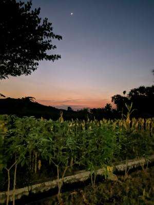 tetap bersyukur dengan apa yang kita miliki
 #keindahanpagi  #sunrise  #ketenangan  #ketenangan jiwa