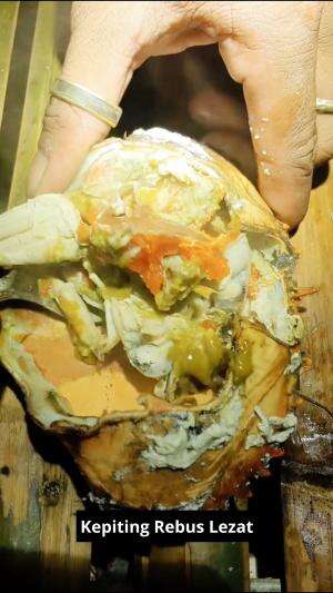 Kepiting Rebus Lezat #kepiting #seafood #lezat #RCTIPlus 