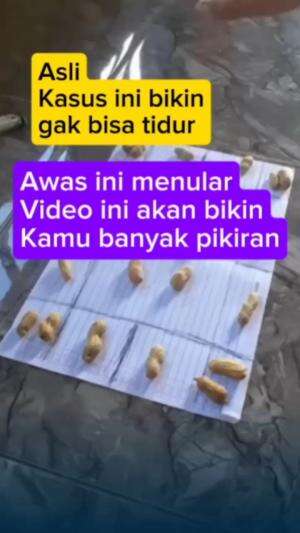Asli nular...
 #fyp 
