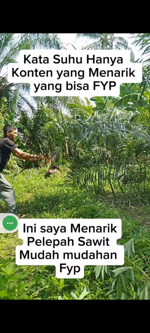  Kata Suhu hanya konten menarik yang bisa Fyp 