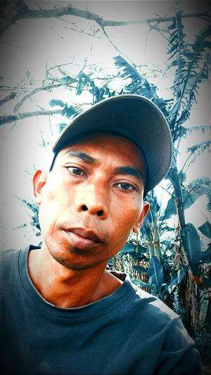 simematik vidio Tanaman lumut yang tumbuh di tembok rumah  #simatikvidio  #vidioapaadanya 