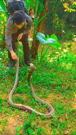 si king giliran gantu baju dulu guys ..
#short #shortplus #shorts 