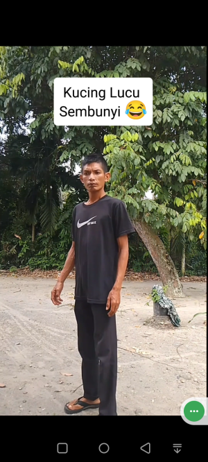Kucing Lucu lagi Sembunyi 😂#Hiburan #Vidiolucu #kontenlucu #kucinglucu