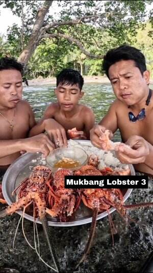 Mukbang Lobster 3 #Mukbang  #Lobster 