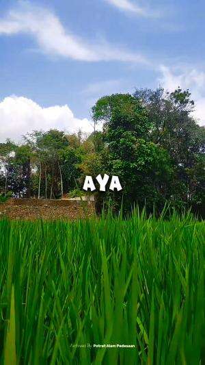 cuaca ngabelentrang panas kang