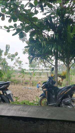 semangat kerja  #RCTIPlus 