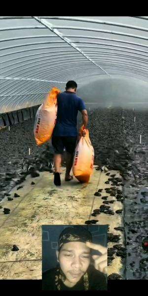 waduh ternak nya guys??

 #RCTIPlus  #HOTrctiplus 