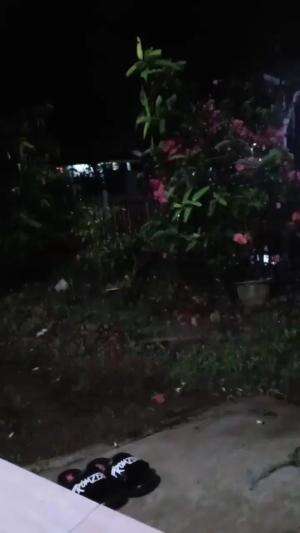 subang di guyur hujan 00:02

 #cuaca hari ini #hujan #subang 