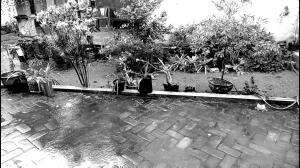 hujan dibelakang rumah 
 #hujan
 #suarahujan
 #rintikhujan
