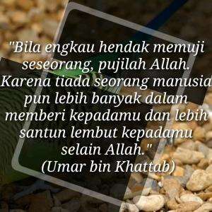 HENDAKLAH MEMUJI KEPADA ALLAH
#motivasiislam #nasihat #islam #motivasi #nasihatkehidupan #quotesislam