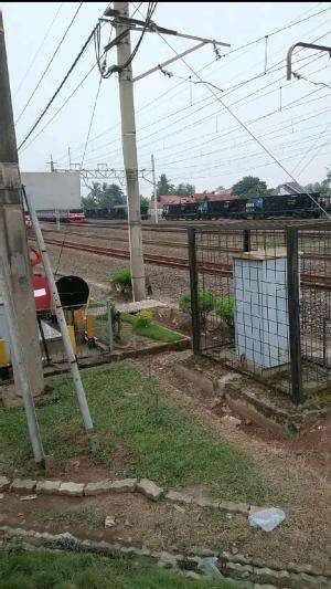 ular panjang kata anak 70an mah