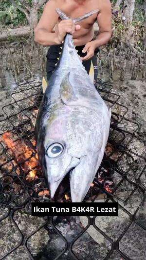 Ikan Tuna B4k4R Lezat #tuna #ikantuna #lezat #KulinerLezat #lezat banget #terlihat lezat #kuliner #RCTIPlus 