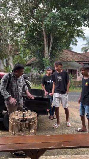 bisnis manuk gagal


 #komediSunda 