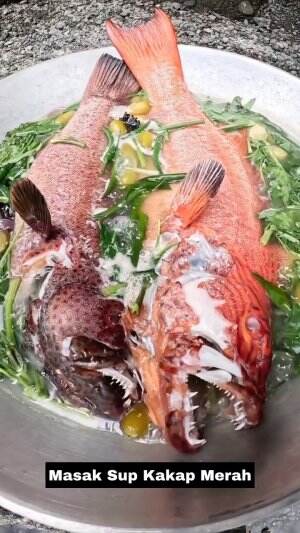 Masak Sup Kakap Merah #MASAKIKANTONGKOLDENGANBUMBUCABEMERAH 