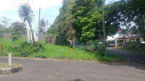 Nengok kebon2024
