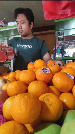 Penjual jeruk import xhina