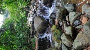 kesejukan mendengarkan aliran air sungai #sungai #airsungai 