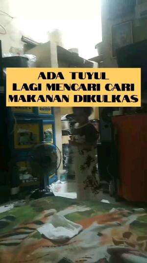 Cucunya lagi lapar nih.
#RCTIPlus #HOTrctiplus #ngaji #mengaji #Pengajian Qolbu #fyp #fypシ #fypシ゚viral 