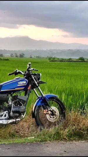 pesona birunya cinta 💙 #rxking