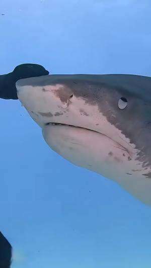 Motivasi untuk hari ini #motivasi 