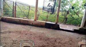 suasana desa  #suasanadesa  #suasanaperkampungan