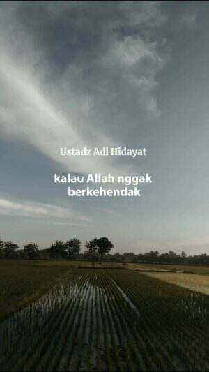 Hidayah itu mahal, jd kalo udah Dateng ya sambut dengan bahagia 
 #ceramahustadzadihidayat #ceramahsingkat
#nasehat 
#fyp 