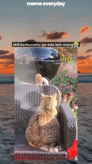 Kayaknya butuh latihan lagi 🤣🤣 # meme #videolucu  #funnyvideo 