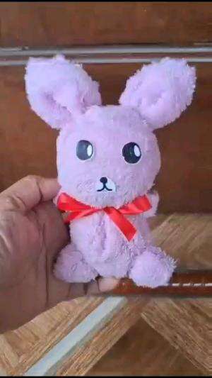 BONEKA KELINCI DARI HANDUK KECIL

#tipsandtrik #tips #trik #tutorial #kreatif #hiburan #inspirasi #inspiratif 