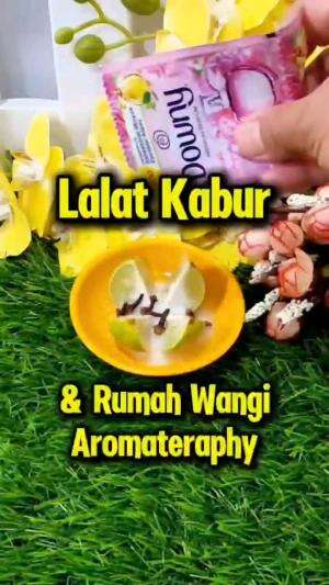 LALAT KABUR & RUMAH WANGI AROMATERPHY

#tipsandtrik #tips #trik #tutorial #kreatif #hiburan #inspirasi #inspiratif 