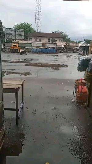 dizzy with lots of debt