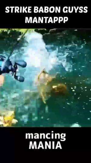 babon boss  #mancing  #RCTIPlus  #rcti  #HOTrctiplus 