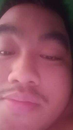 saya mau jadi artis