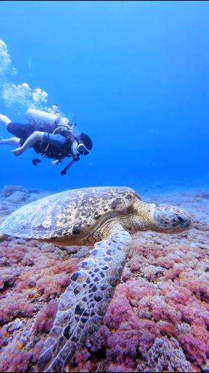 Motivasi untuk hari ini #laut 