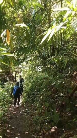 Tracking Air Terjun Coban Srikandi Desa Benjor Kab. Malang Jatim Part18 #tranding  #malangjatim  #airterjun 