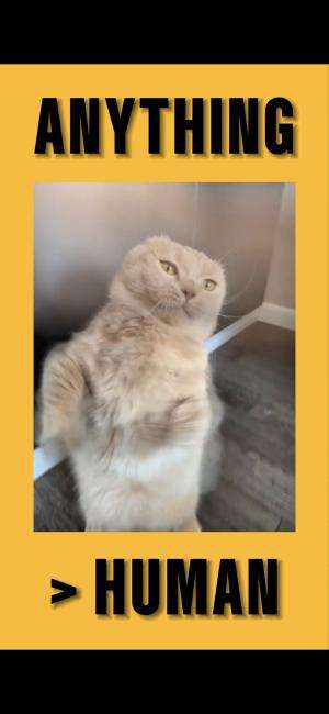 Kenapa selalu aku? 😾

#cute #cat #funny #shorts #fyp #viral #hilarious #meme #lucu #kucing 