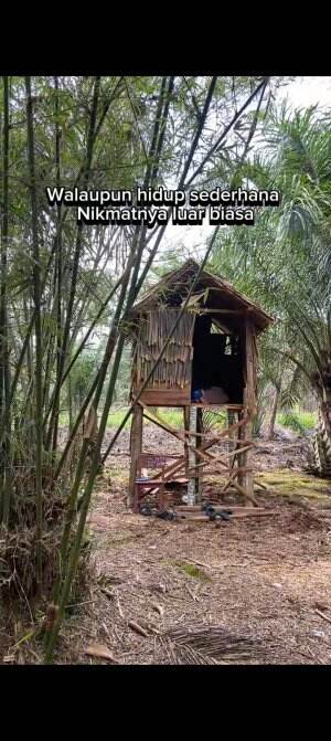 KEHIDUPAN  DI PEDESAAN
 #gadisdesa#cewek#meldaamell