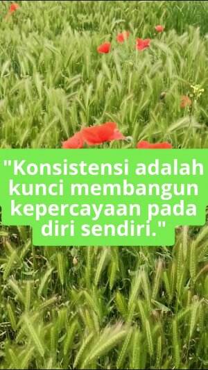 Konsisten adalah kunci membangun kesuksesan #quotes  #motivasi #sukses #semangat #gigih #jedamergawe  #fyp  #RCTIPlus  #HOTrctiplus  #RCTIok