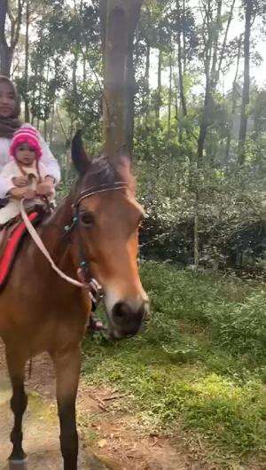 Noora naik kuda sama uma #NooraKhadijahAlKhered  #Kudanya Versi Apa Nih?  #RCTIPlus  #contentcreatorpemula  #GedungTua 