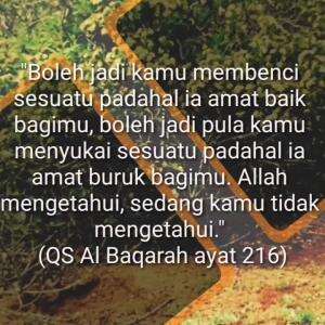 BENCI ADALAH AMAT BAIK, SUKA ADALAH AMAT BURUK
KARENA ALLAH MAHA MENGETAHUI 
#motivasiislam #motivasi #Nasihat #alquran #hadits #introspeksi