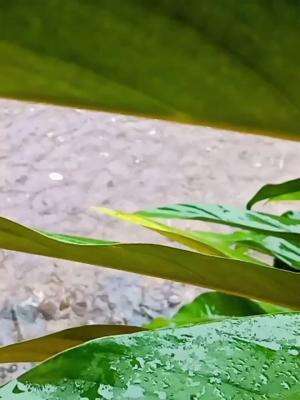  #hujan  #bedcoveraesthetic  #aesthetic 