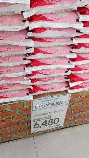 mahal banget harga beras di jepang 800k /5kg #japan #japanvlog #kumamoto #jepang #jav #berasjepang #beras #bulog
 