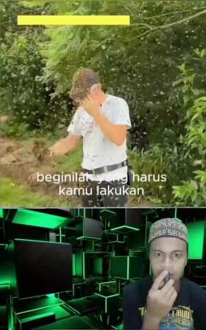 menangkap lebah tanpa pengaman 
 #lebah  #madu 