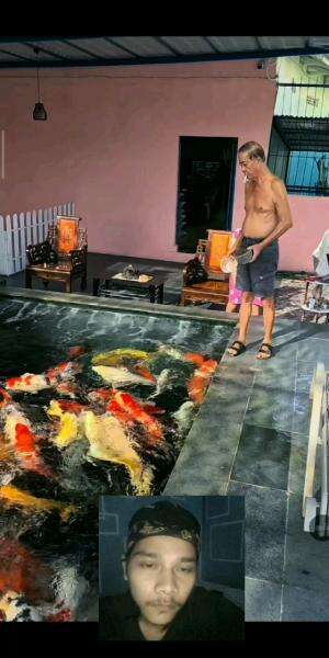 Cantik cantik ikan nya guys??

 #RCTIPlus  #HOTrctiplus 