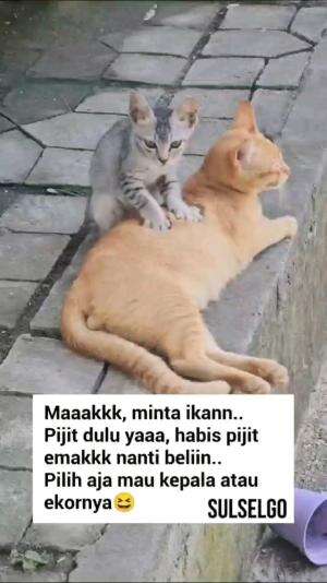 PIJITIN EMAK