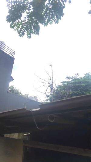 langit nya menangis  #onlineauditionmci9hujanbadaipunkankiterjang  #maafberisikHUJAN 